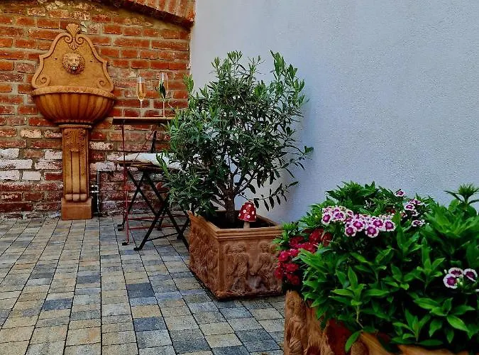 Apartmán U Alžbety